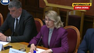 U čije džepove se slivaju milioni?