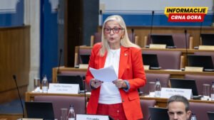 Despotović: Zakon o šumama izazvao šumove u raspadajućoj većini