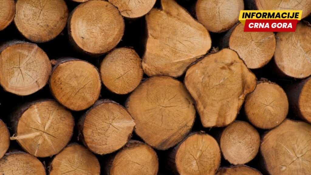 Bjelopoljac procesuiran zbog sumnje na šumsku krađu