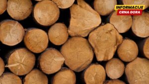 Bjelopoljac procesuiran zbog sumnje na šumsku krađu