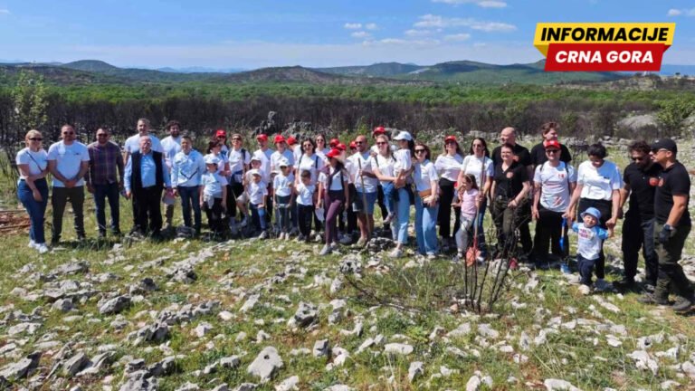 Akcija “Zelena obnova Crne Gore”, zasađeno preko 60 sadnica drveća