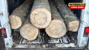 Krivične protiv dvije osobe zbog sumnje na krađu, procesuiran i Beranac zbog šumske krađe