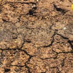 Zemljotres snage 5,7 stepeni Rihterove skale pogodio Indoneziju