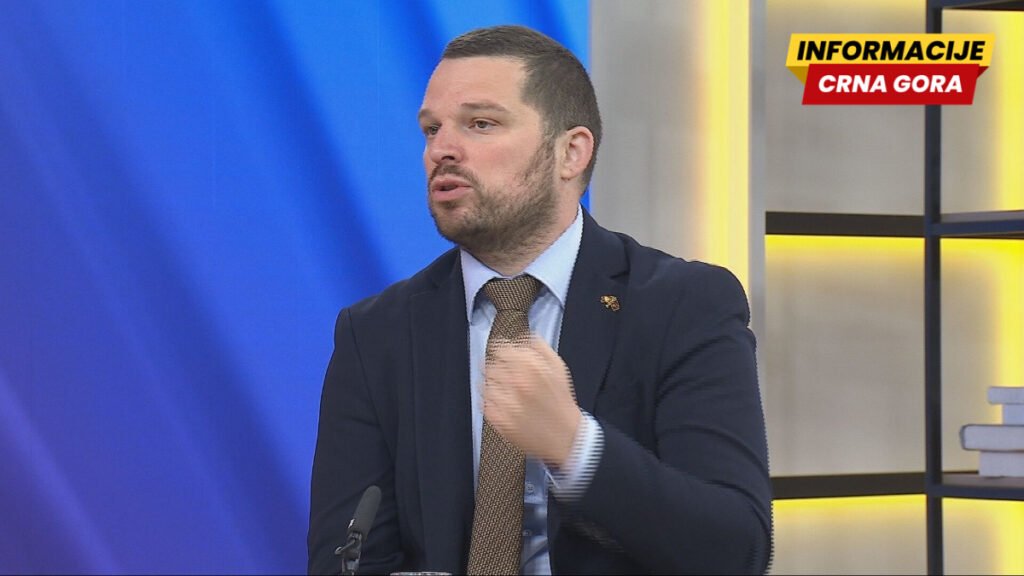 Mikić: Vanredni izbori izvjesni