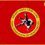 DŽSCG: Savez kontinuirano radi na zaštiti prava djece, prije dva mjeseca i “Ippon” dao podršku ovom menadžmentu