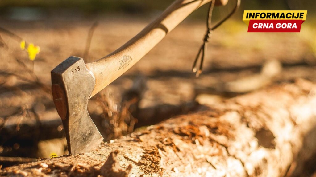 Rožaje: Četiri osobe uhapšene zbog nasilničkog ponašanja, u tuči koristili sjekire i drvene štapove