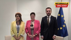 Vuković Kuč i Bojadžić: Sporni zakoni u fokusu razgovora u Strazburu