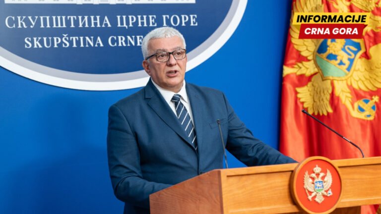 Mandić: Formiranje radne grupe jasan signal da država ulazi u završnu fazu evropskih integracija