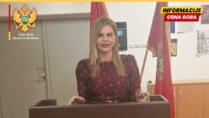 Zavod za školstvo organizovao Okrugli sto “Unapređenje čitalačke pismenosti – iskustva, izazovi i preporuke”