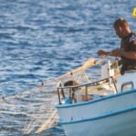 Kotorski ribari upozoravaju na mogući ekocid u akvatorijumu Boke, nadležni prate situaciju