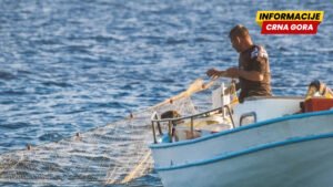 Kotorski ribari upozoravaju na mogući ekocid u akvatorijumu Boke, nadležni prate situaciju