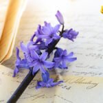 Kafić u Parizu – Zapišite misli, zapečatite voskom i sačekajte 20 godina