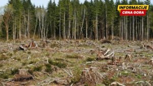 Delić i Kankaraš: Krivična prijava protiv Rajkovića i još dvije osobe zbog bespravne sječe u Rožajama