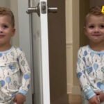 Nauka – Da li blizanci zaista dijele telepatsku vezu