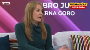 Papović: Formiranje EU radne grupe signal da je Crna Gora blizu završne faze pregovora