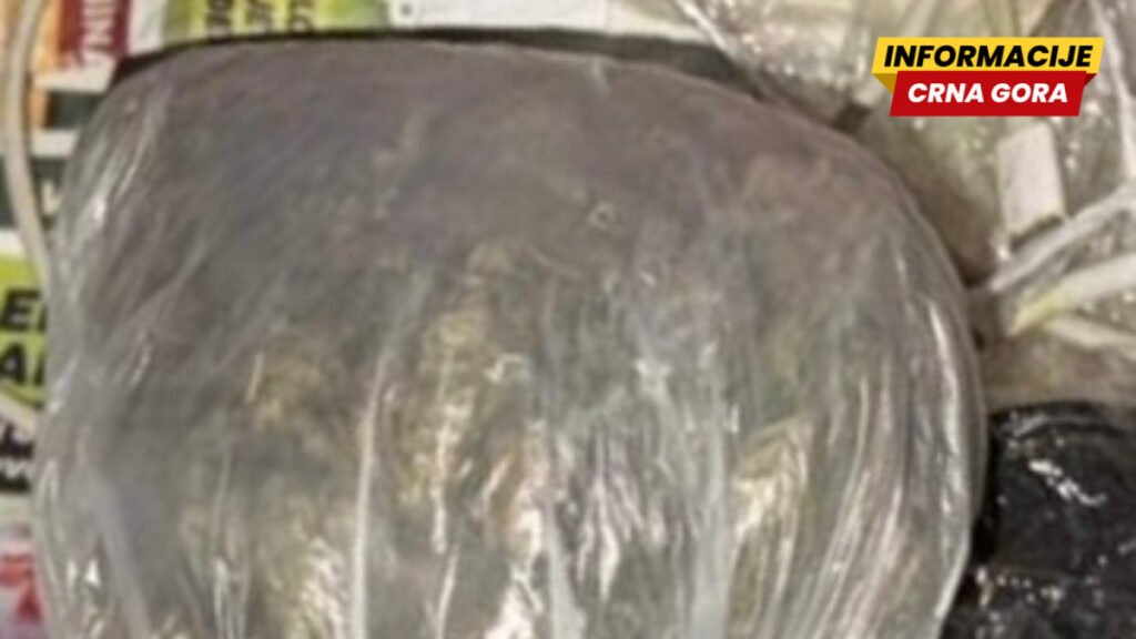 Policija u pojačanim akcijama: Oduzete droge i procesuirane četiri osobe u Budvi, Nikšiću i Pljevljima