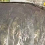 Policija u pojačanim akcijama: Oduzete droge i procesuirane četiri osobe u Budvi, Nikšiću i Pljevljima