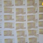 U Bijelom Polju uhapšeni majka i sin, pozajmicu vratili falsifikovanim novcem