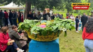 Inicijativa: Otvarati male pogone za preradu šumskih plodova