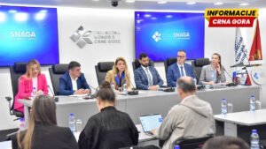 Izazovi u funkcionisanju IRMS-a imaju direktne posljedice po konkurentnost preduzeća