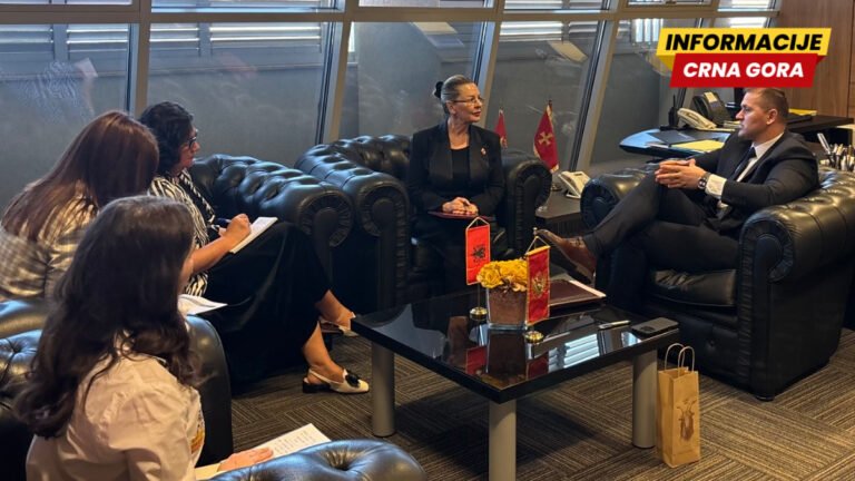 Šćepanović - Peto: Crnogorska i albanska policija tokom ljetnje sezone će intenzivirati aktivnosti na graničnim prelazima