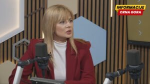 Nedović: Oštra retorika u Parlamentu pokazuje nervozu bivše vlasti