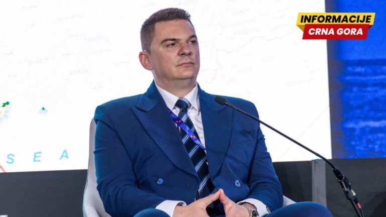 Šahmanović: Vrijeme za brze odluke i zajedničku akciju u energetici