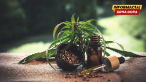 U Šri Lanki uhapšena 22 budistička monaha – kod njih pronađeno 110 kilograma kanabisa