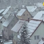 Zabijelilo na Žabljaku