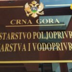 MPŠV: Viškovi mlijeka prijavljeni kasno, na javni poziv za otkup niko se nije prijavio