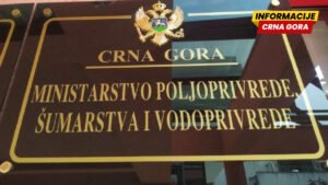 MPŠV: Viškovi mlijeka prijavljeni kasno, na javni poziv za otkup niko se nije prijavio