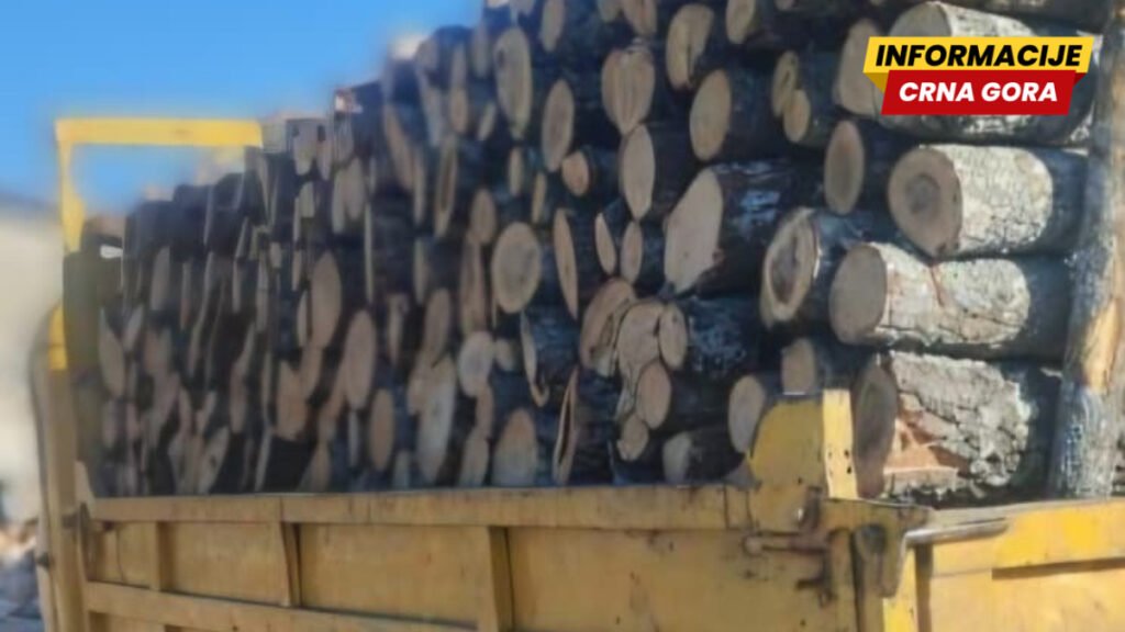 Akcija "Ogrijev": Tri osobe procesuirane zbog šumskog kriminala