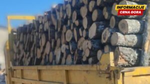 Akcija “Ogrijev”: Tri osobe procesuirane zbog šumskog kriminala