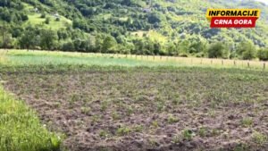 Poljoprivrednici: Inflacija “pojela” agrobudžet, proizvodnja sve skuplja