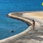 Sunčano aprilsko vrijeme privuklo prve kupače u Herceg Novom