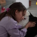 Spas od sigurne smrti telence našlo u domu porodice Garović