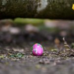 Njemačka: Oluja oborila drvo na grupu žena i djece u igri traženja uskršnjeg jajeta i ubila troje