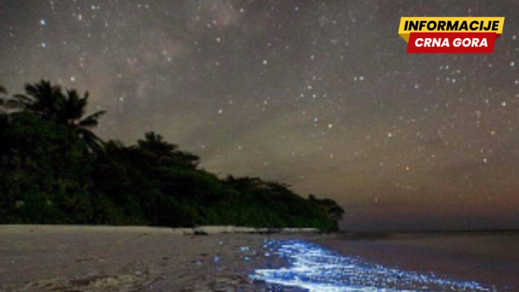 Ostrvo na kome more sija - rijedak prirodni fenomen na Maldivima