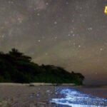 Ostrvo na kome more sija – rijedak prirodni fenomen na Maldivima