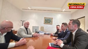 Šahmanović i Joković: Ubrzati čišćenje trasa dalekovoda radi stabilnosti sistema