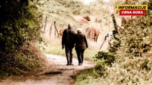 Kako sagorjeti više kalorija šetanjem