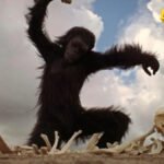 Stenli Kjubrik: Jedan film podstakao je lavinu teorija zavjere