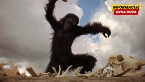 Stenli Kjubrik: Jedan film podstakao je lavinu teorija zavjere