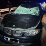 Na putu Cetinje-Budva: Automobil naletio na govedo, povrijeđena jedna osoba