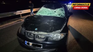 Na putu Cetinje-Budva: Automobil naletio na govedo, povrijeđena jedna osoba