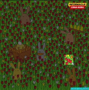 Da li možete da pronađete vješto sakriveno jaje za 15 sekundi?