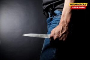 Posinak iz Crne Gore priznao ubistvo maćehe u Njemačkoj