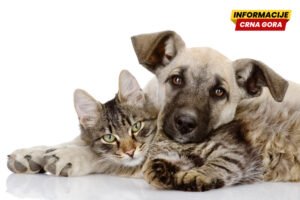 Počeli 15. Veterinarski dani: Struka upozorava na nedostatak kadra