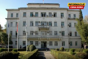 Glavni grad raspisao javni poziv za dodjelu subvencija za kastraciju i sterilizaciju vlasničkih pasa i mačaka