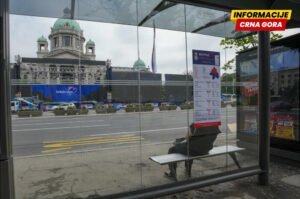 Hrčkovi uživo